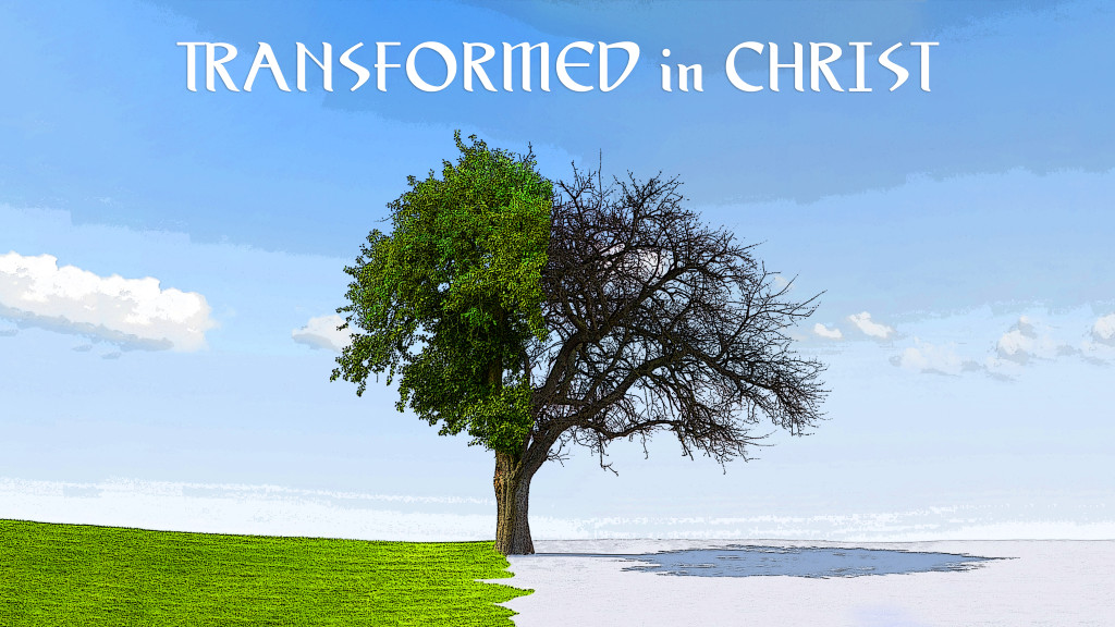 Transformed in Christ (wide)